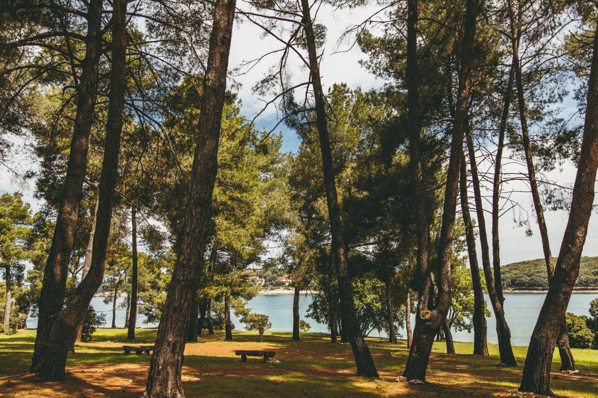 Maistra Camping Koversada Uncovered Naturist Pitches Врсар Экстерьер фото